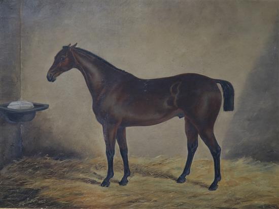 James Quinton (19th century) Racehorse in a stable 59 x 43cm